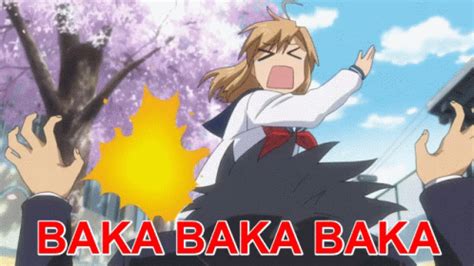 baka .